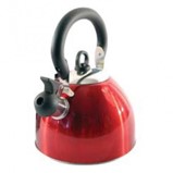 Bouilloire avec sifflé métallisée 2,50L FLAMEFIELD BEAVER BRAND OMNIA